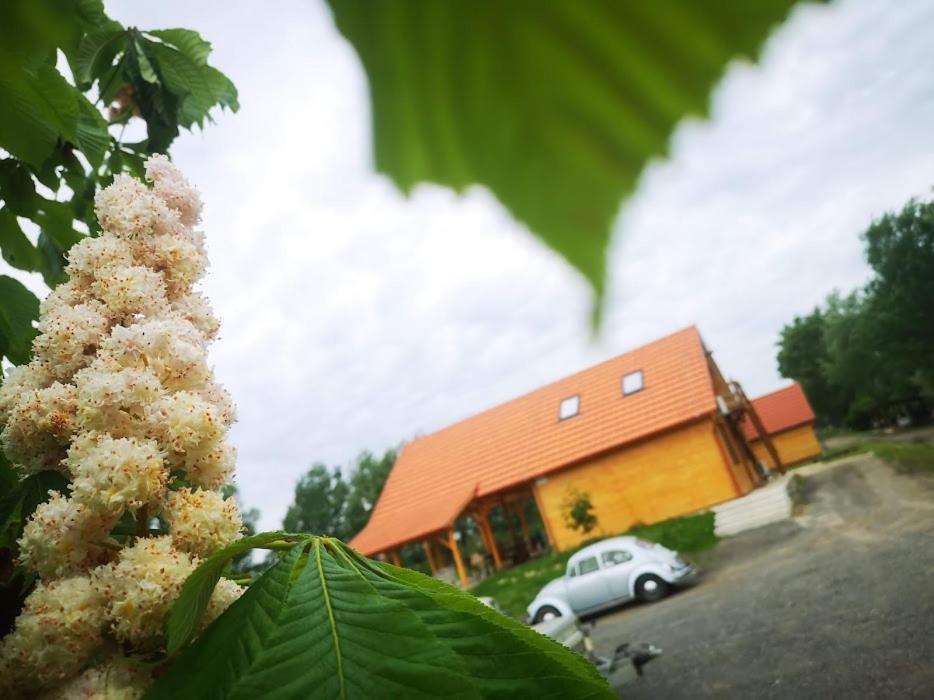 Tómajor Vendégházak Tiszaeszlar Esterno foto