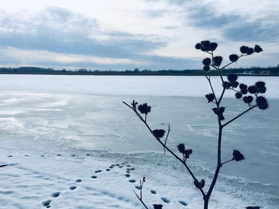 Tómajor Vendégházak Tiszaeszlar Esterno foto